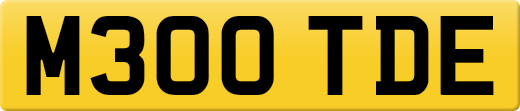 M300TDE