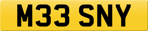 M33SNY
