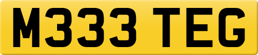 M333TEG