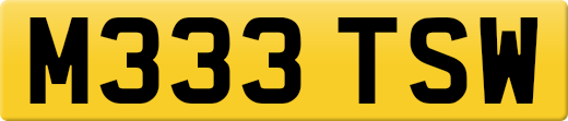 M333TSW