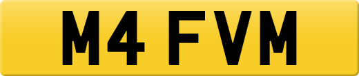 M4FVM