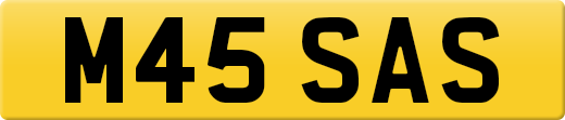 M45SAS
