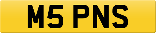 M5PNS