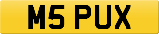 M5PUX