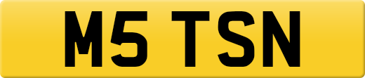 M5TSN