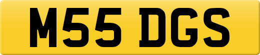 M55DGS