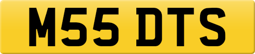 M55DTS