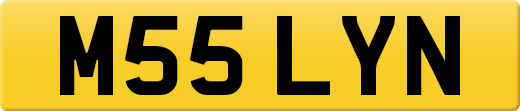 M55LYN