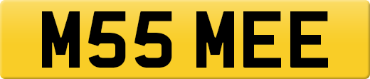 M55MEE