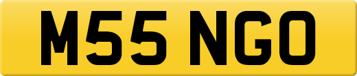 M55NGO
