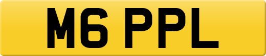 M6PPL