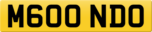 M600NDO