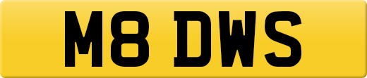 M8DWS