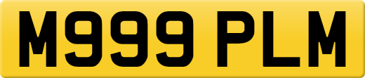 M999PLM