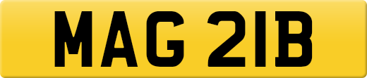 MAG21B