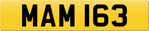 MAM163