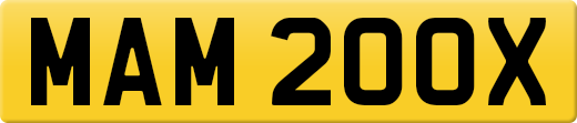 MAM200X