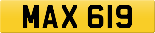 MAX619