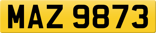 MAZ9873