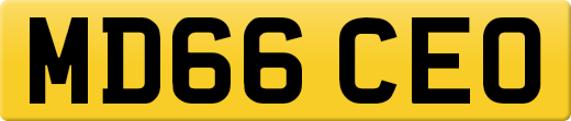 MD66CEO