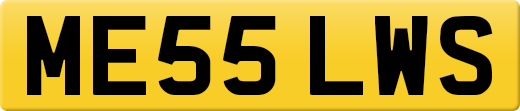 ME55LWS