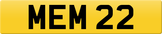 MEM22