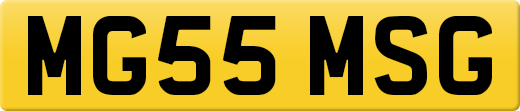 MG55MSG