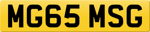 MG65MSG