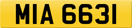 MIA6631