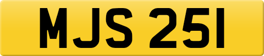 MJS251