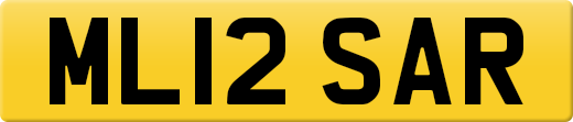 ML12SAR