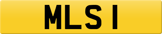 MLS1