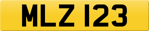 MLZ123