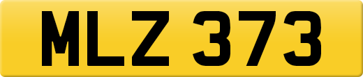 MLZ373
