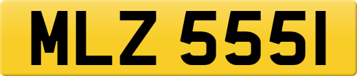MLZ5551