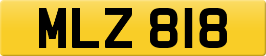 MLZ818