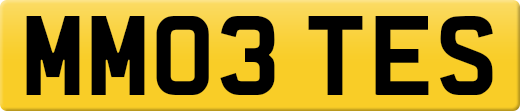 MM03TES