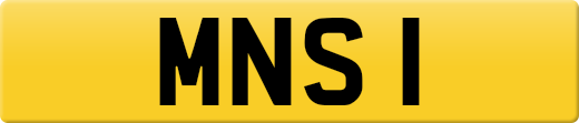 MNS1