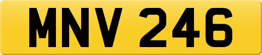MNV246