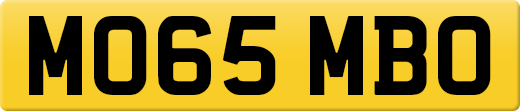MO65MBO