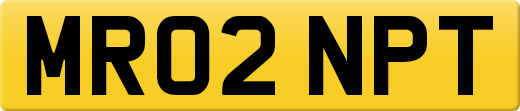 MR02NPT