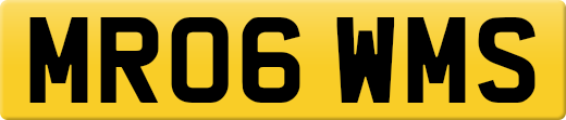 MR06WMS