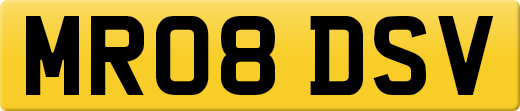 MR08DSV