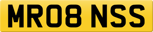 MR08NSS