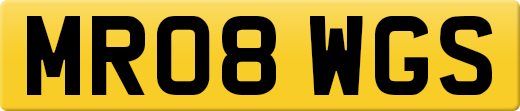 MR08WGS