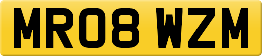 MR08WZM