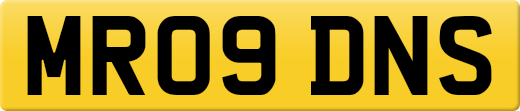 MR09DNS
