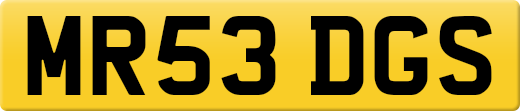 MR53DGS