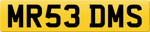 MR53DMS