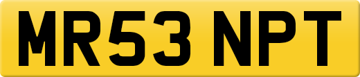 MR53NPT